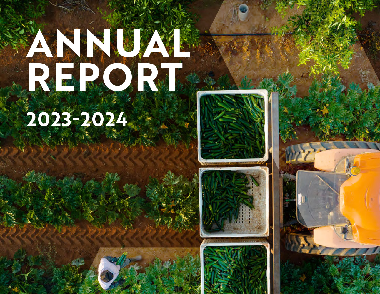 Australian Indigenous Leadership Centre, Prospectus