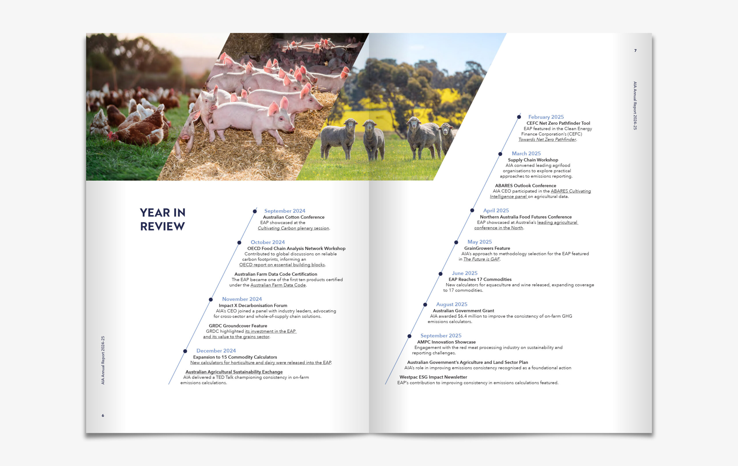 AIA Annual Report 24/25 Year Review